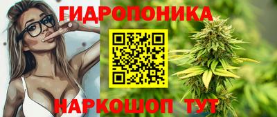 прущие крисы Краснознаменск